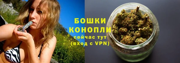 ГАЛЛЮЦИНОГЕННЫЕ ГРИБЫ Балабаново